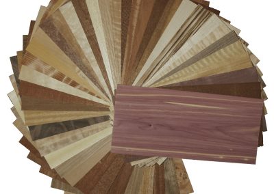 Variety Packages | Sauers & Company Veneers