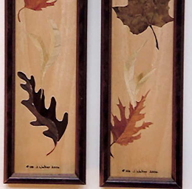 Take Your Remodeling Talents to the Max with Wood Veneers Sauers